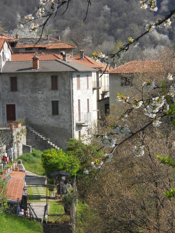 Casa Ginevra Διαμέρισμα Plesio Εξωτερικό φωτογραφία
